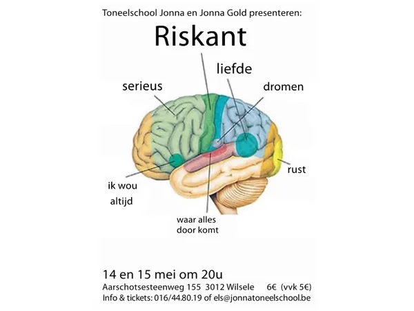 2010 riskant affiche